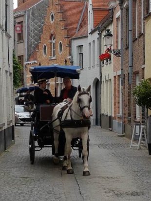horse_and_carriage discover_the_magic_of_bruges_by_coach